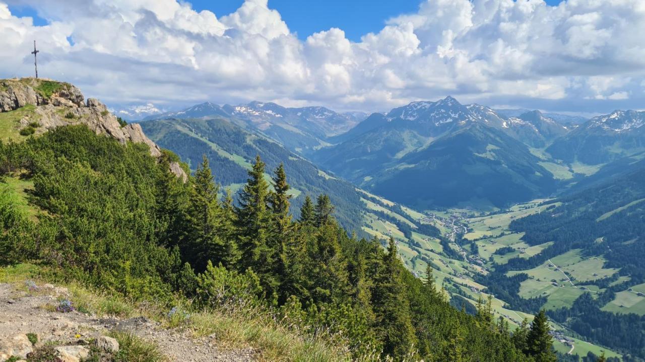Studio Schwarzenauer Daire Alpbach Dış mekan fotoğraf