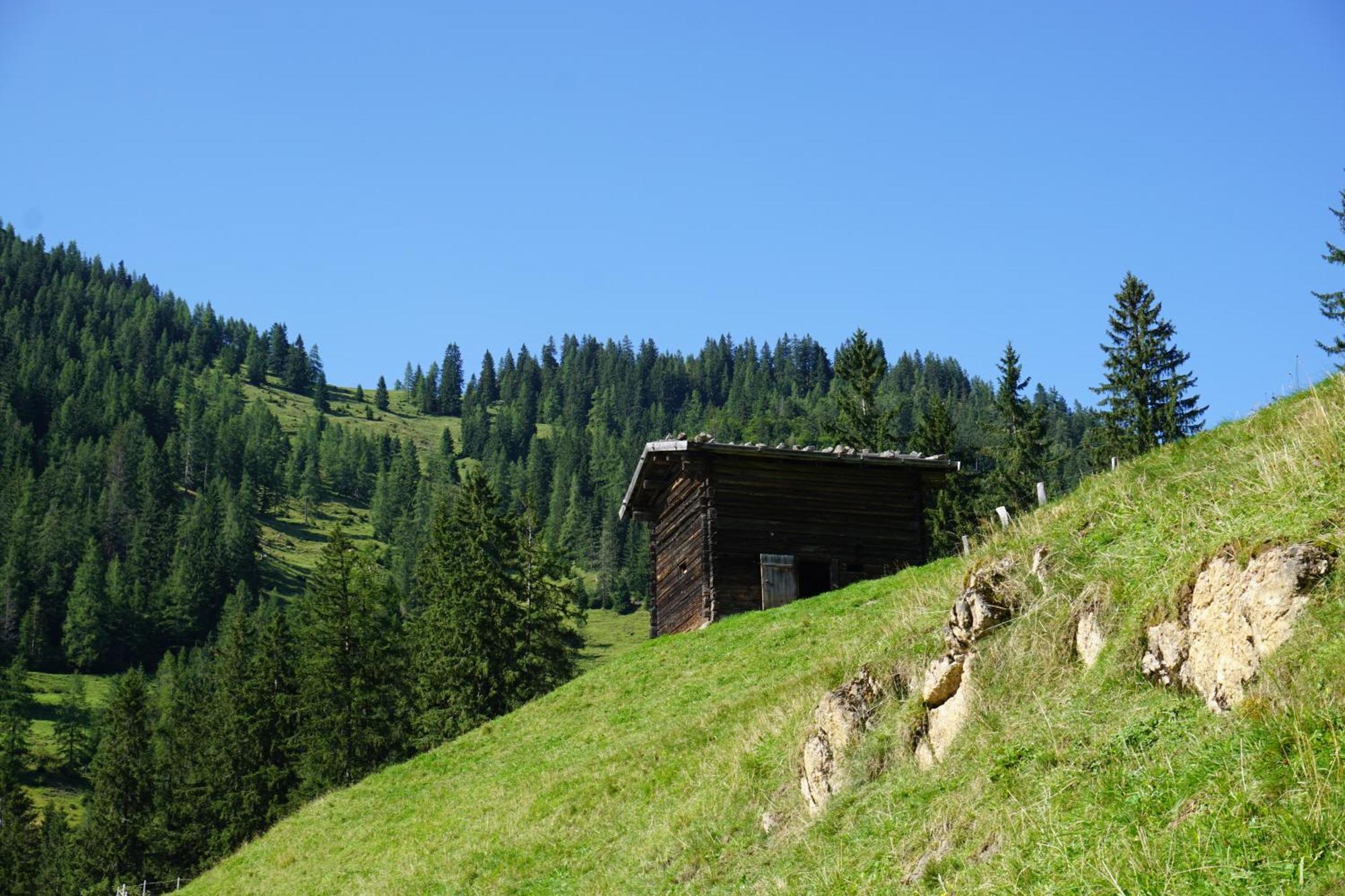 Studio Schwarzenauer Daire Alpbach Dış mekan fotoğraf