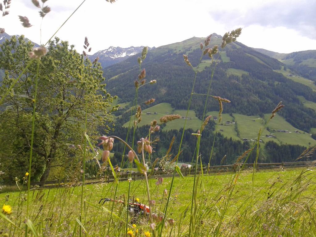 Studio Schwarzenauer Daire Alpbach Dış mekan fotoğraf