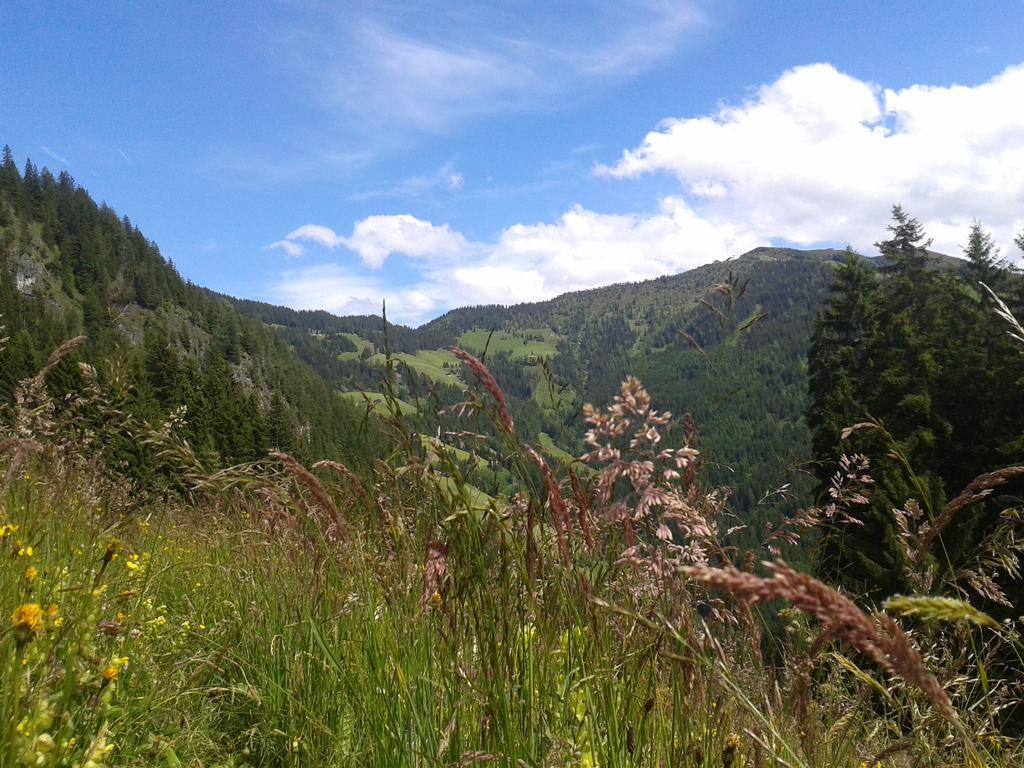 Studio Schwarzenauer Daire Alpbach Dış mekan fotoğraf