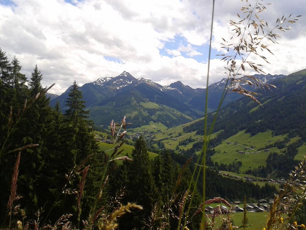 Studio Schwarzenauer Daire Alpbach Dış mekan fotoğraf
