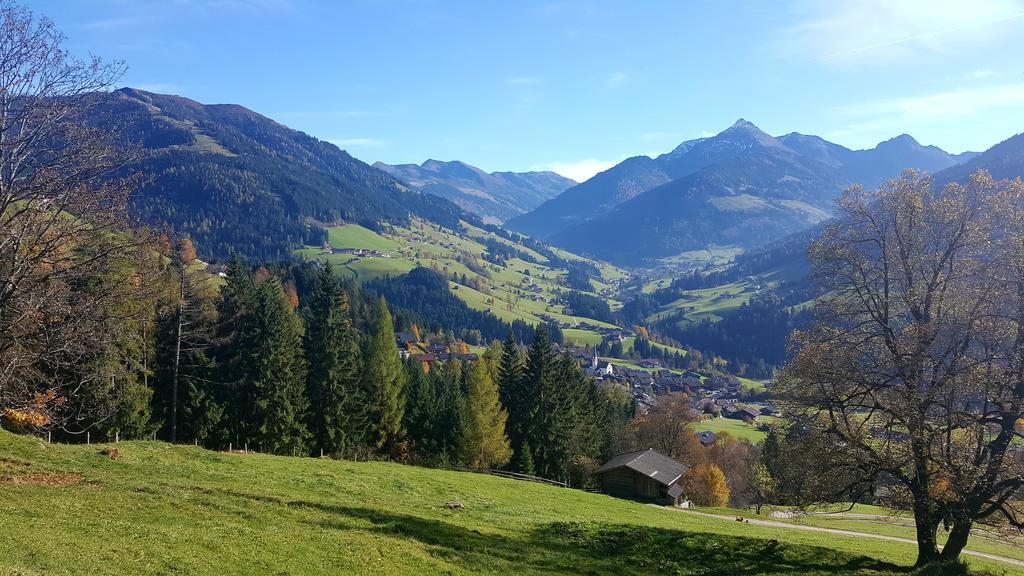Studio Schwarzenauer Daire Alpbach Dış mekan fotoğraf
