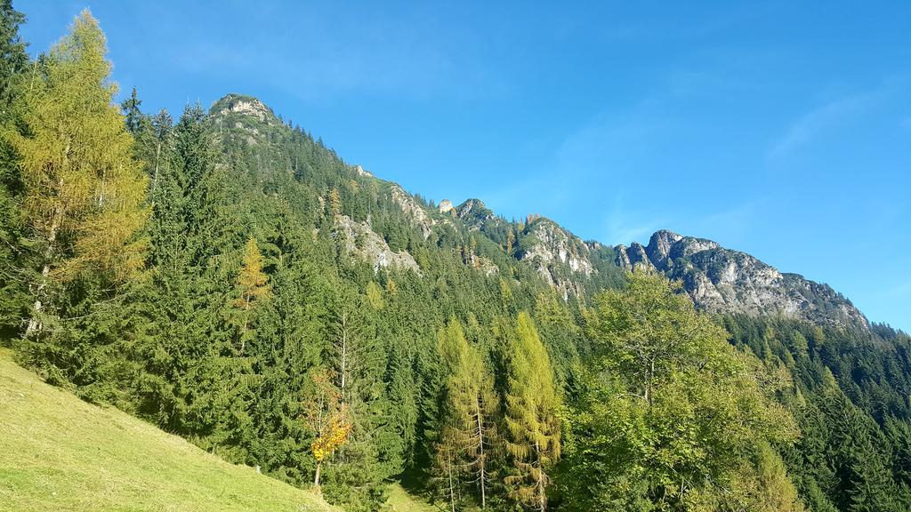 Studio Schwarzenauer Daire Alpbach Dış mekan fotoğraf