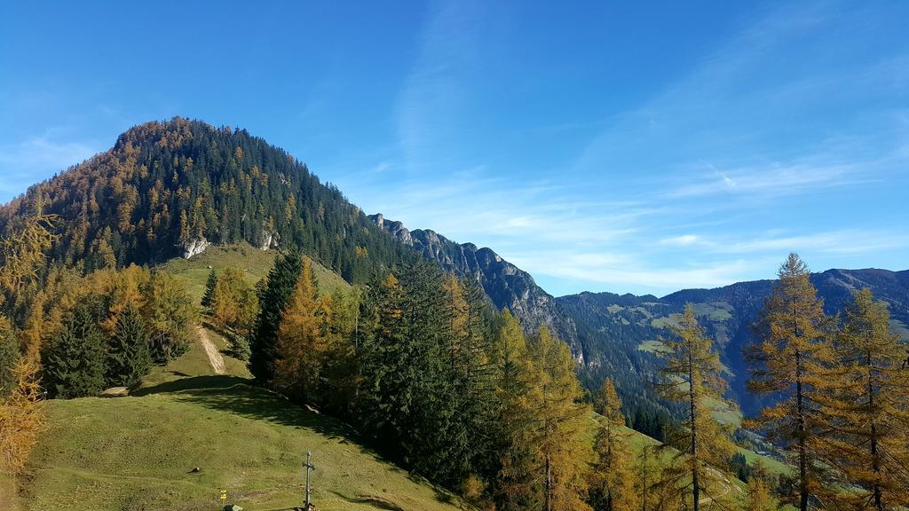Studio Schwarzenauer Daire Alpbach Dış mekan fotoğraf
