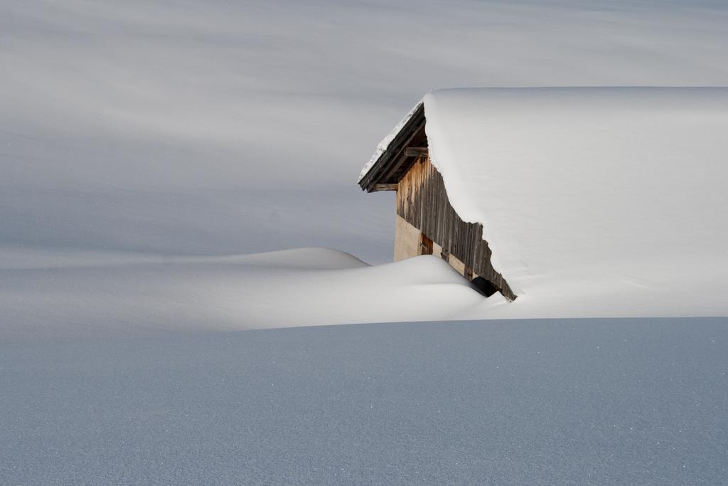 Studio Schwarzenauer Daire Alpbach Dış mekan fotoğraf