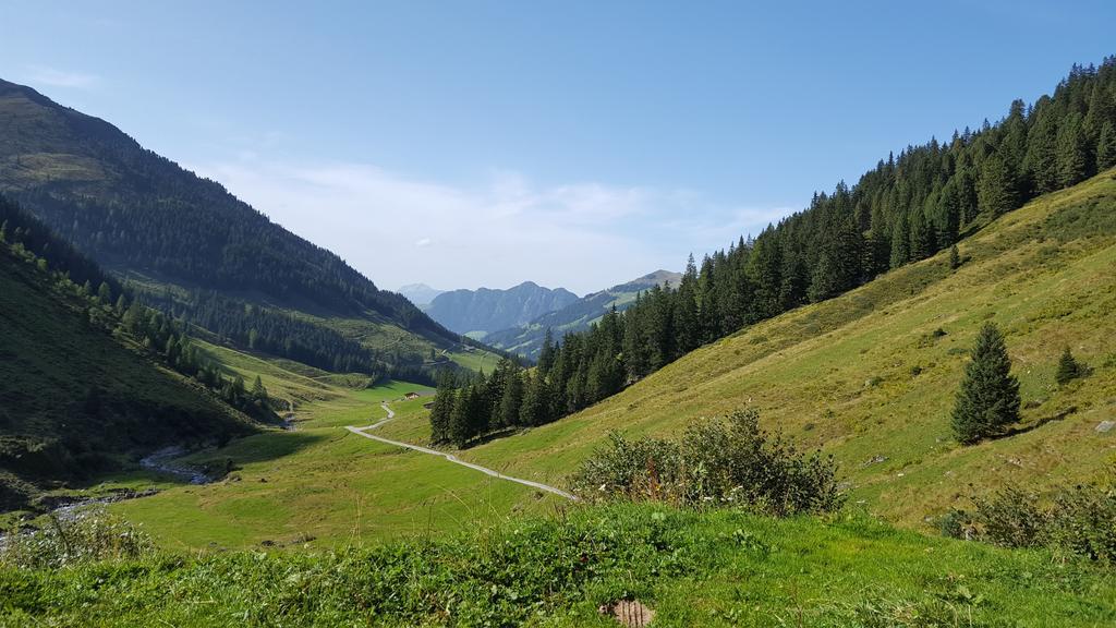 Studio Schwarzenauer Daire Alpbach Dış mekan fotoğraf