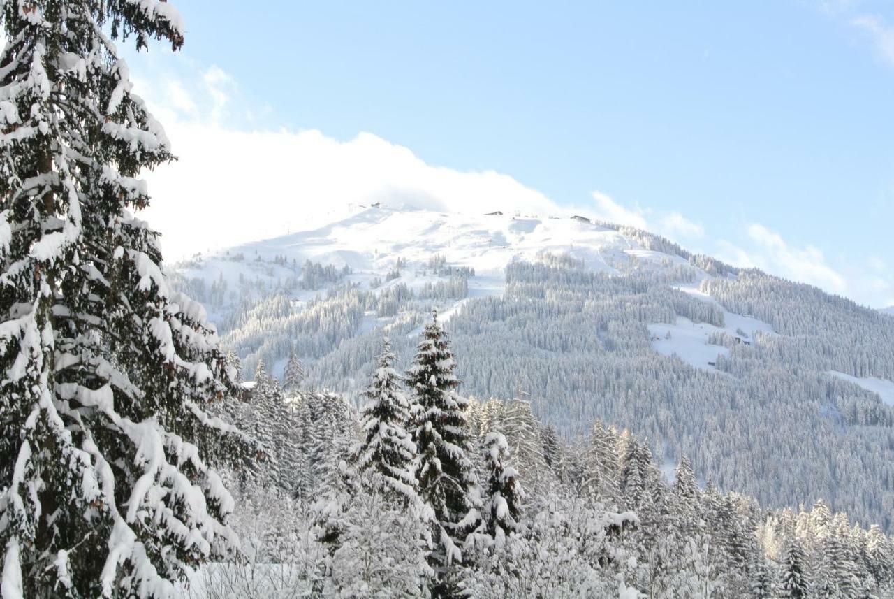 Studio Schwarzenauer Daire Alpbach Dış mekan fotoğraf